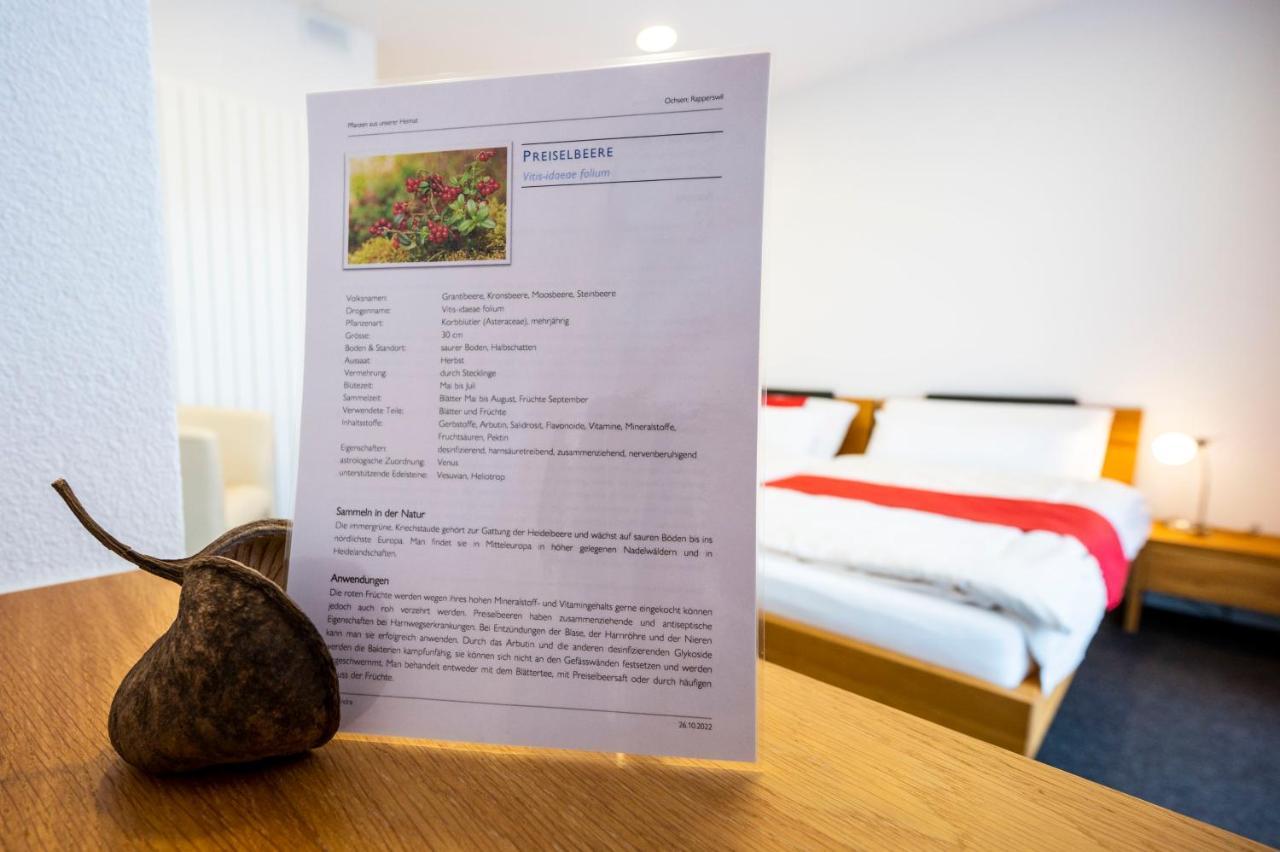 Hotel Ochsen Rapperswil/Be Rapperswil  Ngoại thất bức ảnh