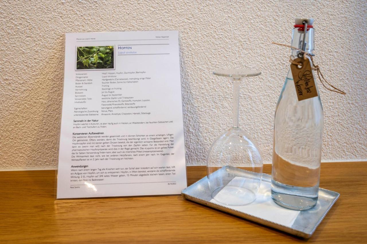 Hotel Ochsen Rapperswil/Be Rapperswil  Ngoại thất bức ảnh
